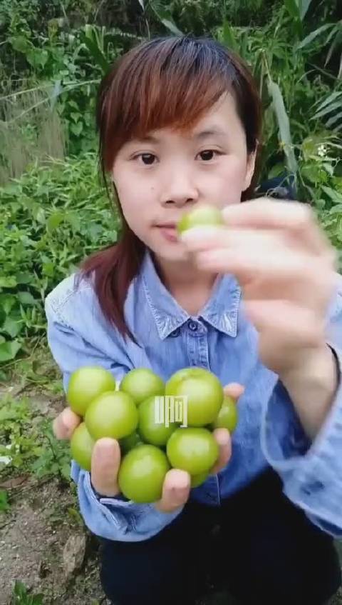 这个李子吃起来有点酸