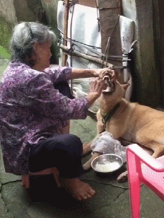 232_308gif 动态图 动图