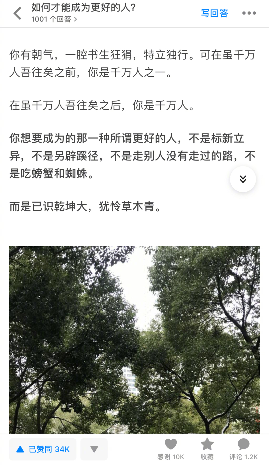 很好 已识乾坤大 犹怜草木青