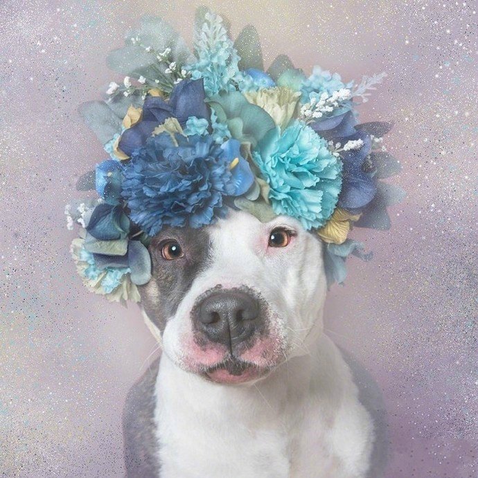 丰田花冠保值率高吗 经典年款有哪些