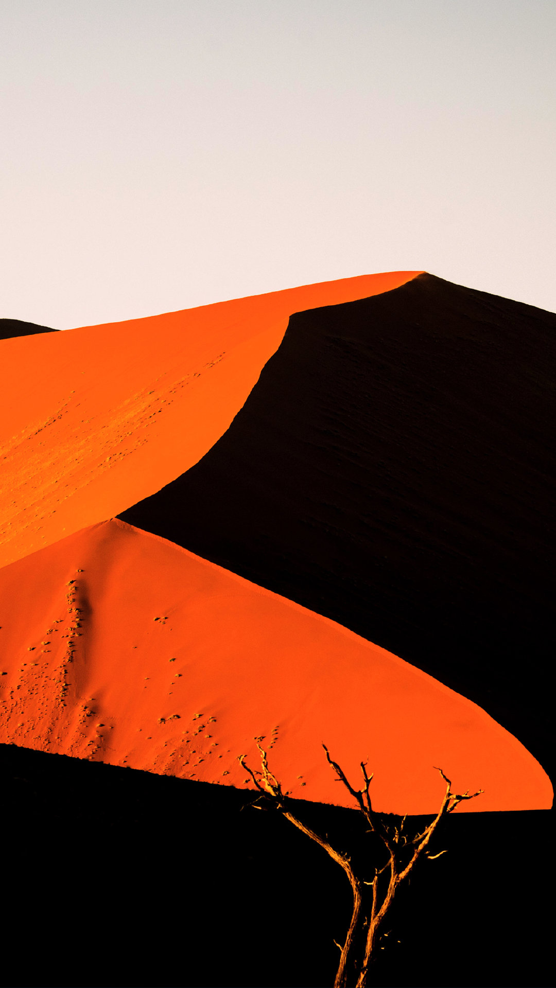 红是一种热烈的颜色,无论是来自草原还是沙漠,是岩浆还是火|来自草原