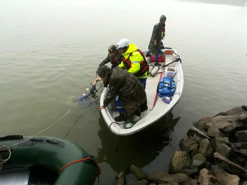 该队迅速组织队员,带上救援设备奔赴现场,经排查,搜救,很快将女孩打捞