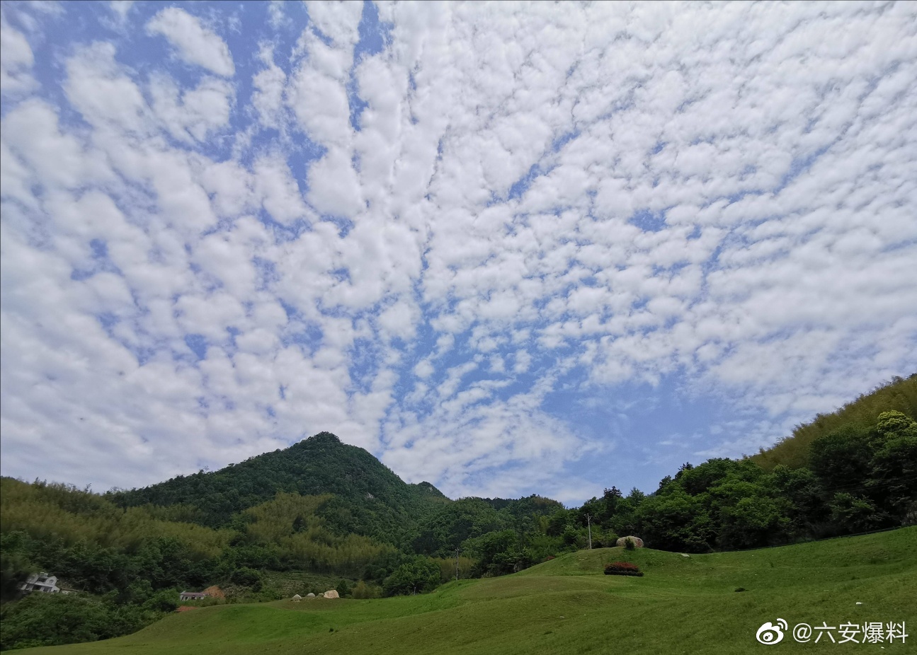 六安霍山县青峰岭高山草坪青山环抱鸟语花香