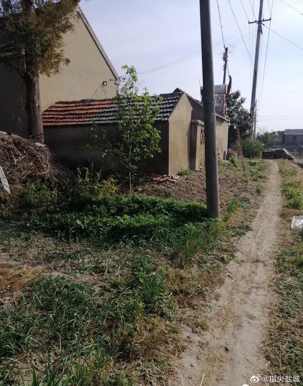 经济发展莫忘老百姓,南洋镇龙庙村泥路难行望解决_高清图集_新浪网