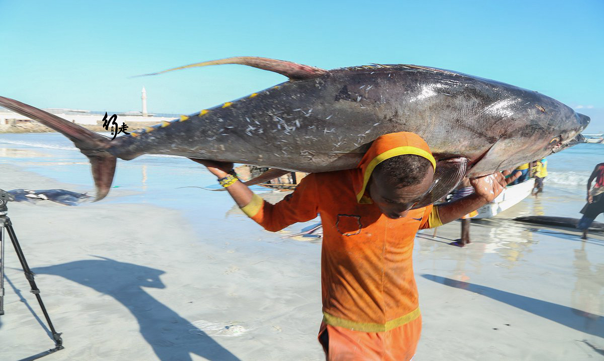 非洲最穷国家:20年前成立警卫队保护海域,如今全变成海盗|捕鱼|索马里