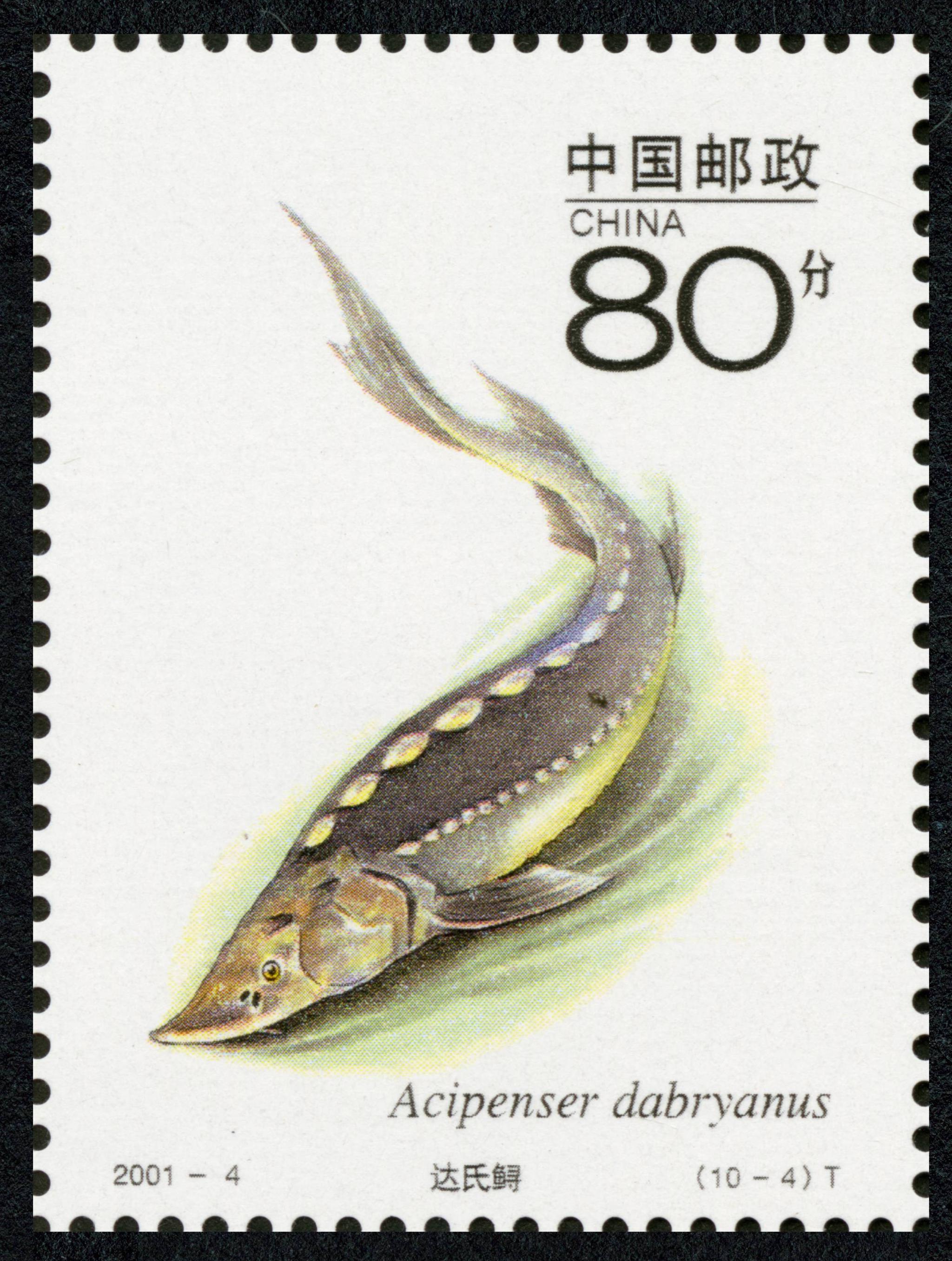 01 3 16发行 影写版 共十张