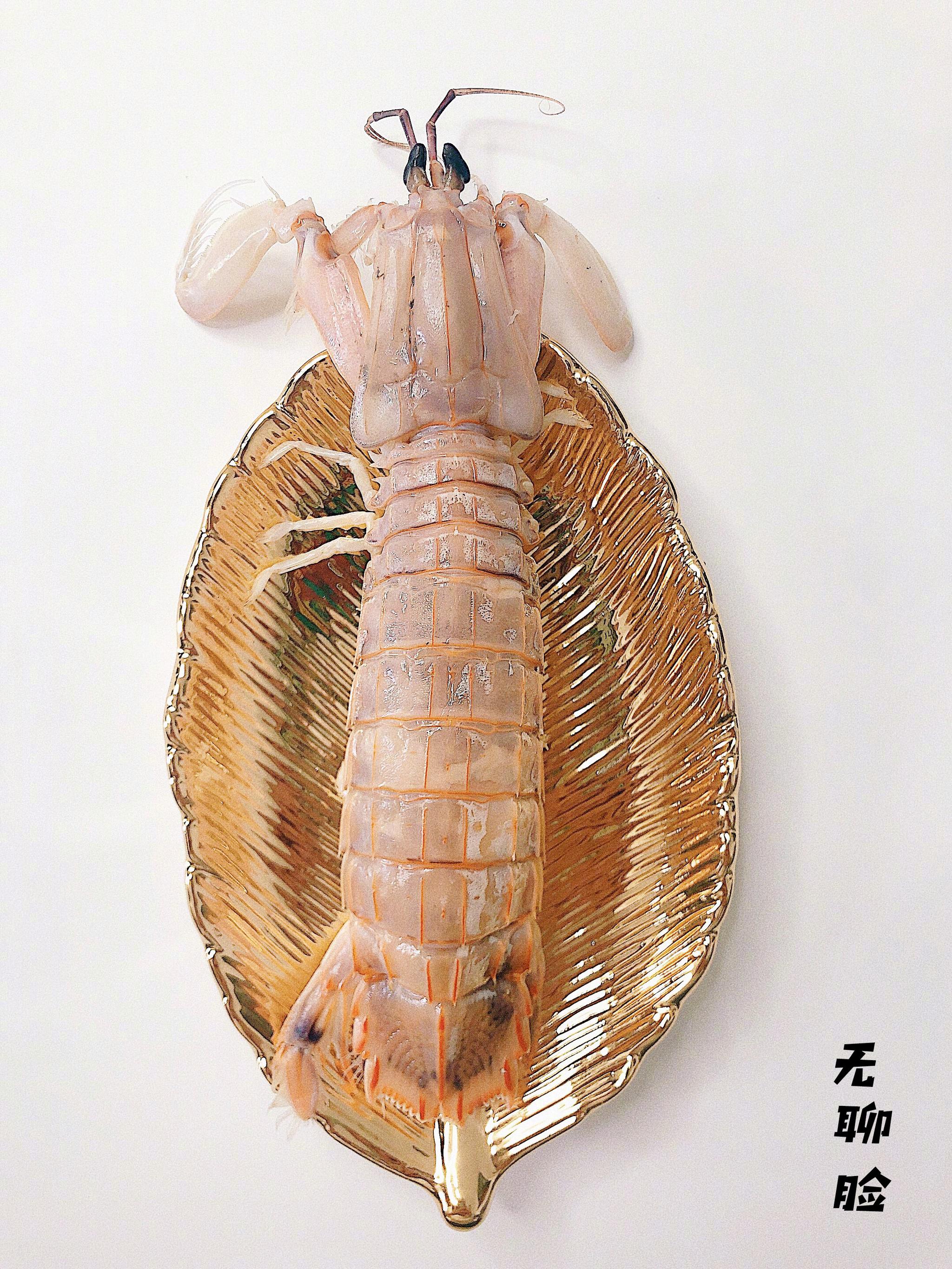 吃个皮皮虾吧.07|皮皮虾_新浪新闻