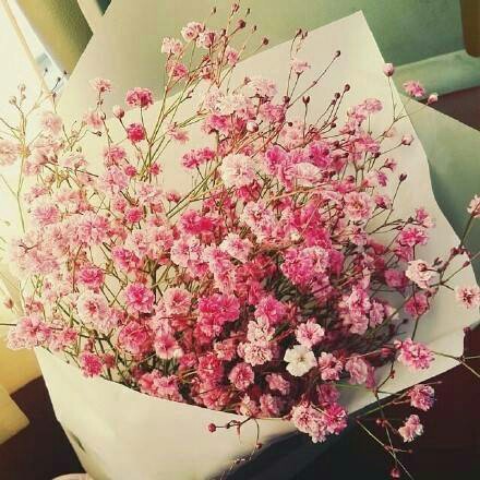 最高かつ最も包括的なbaby Breath 花语 すべての美しい花の画像 最高かつ最も包括的なbaby Breath 花语 すべての美しい花の画像