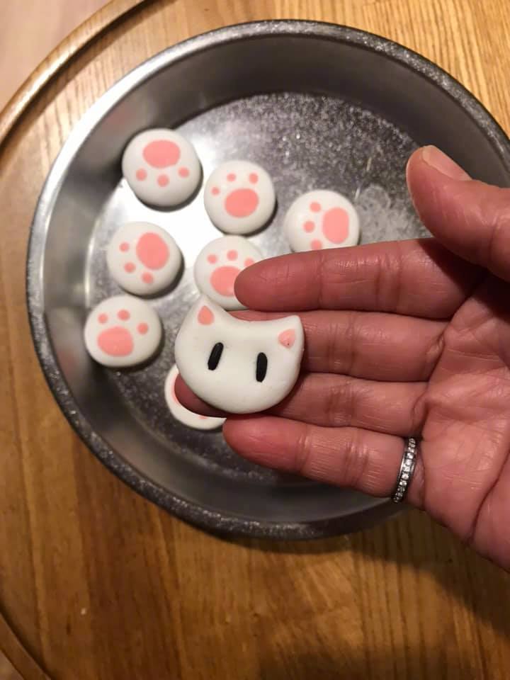 猫汤圆!by/fb/chin chin