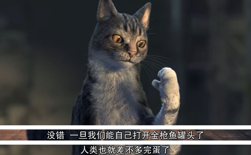 猫比人多6倍的小岛!有些人去了血槽全空,有些人去了密恐发作