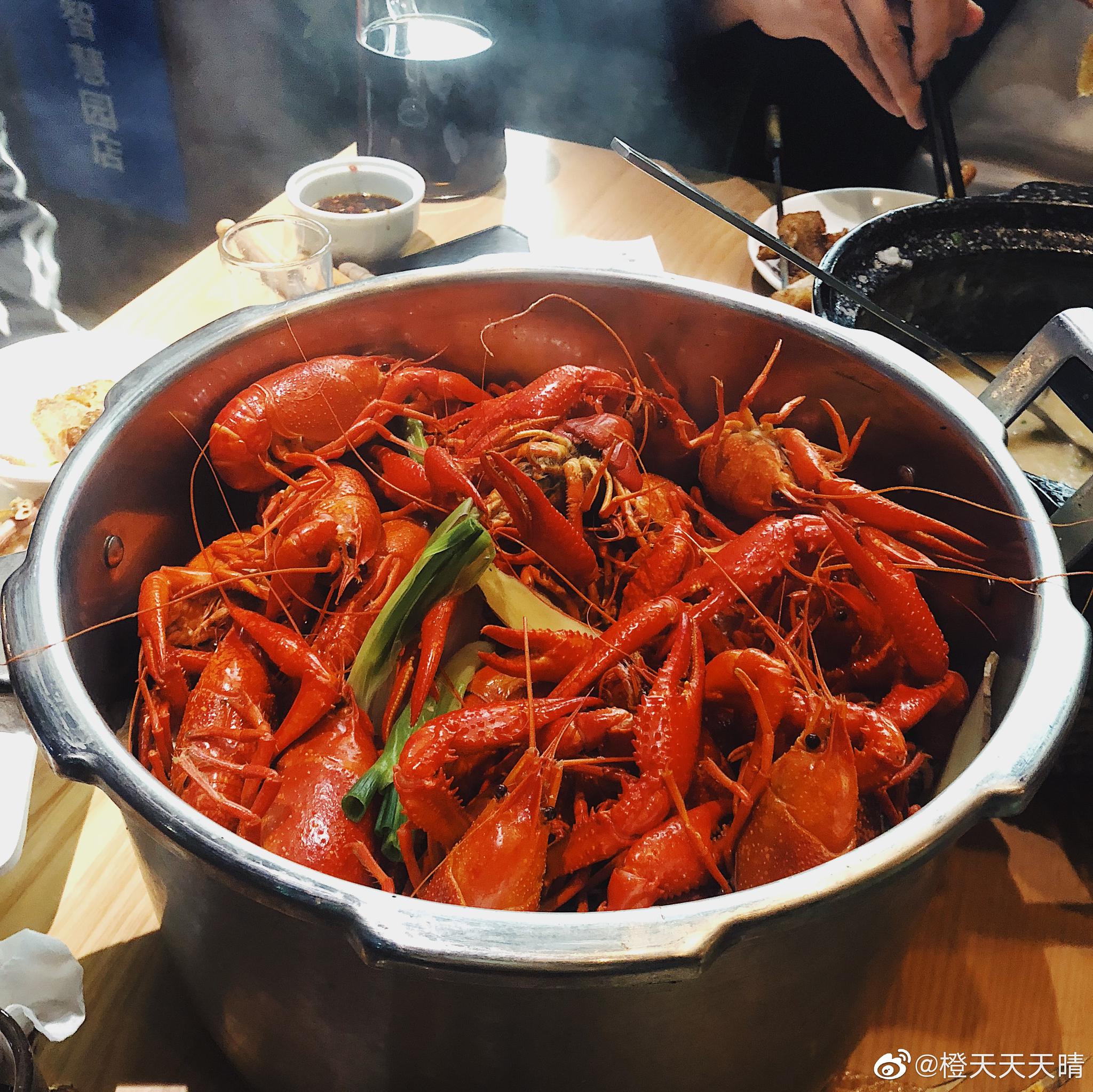 被冰岛沙雕四人组叫去吃夜宵了