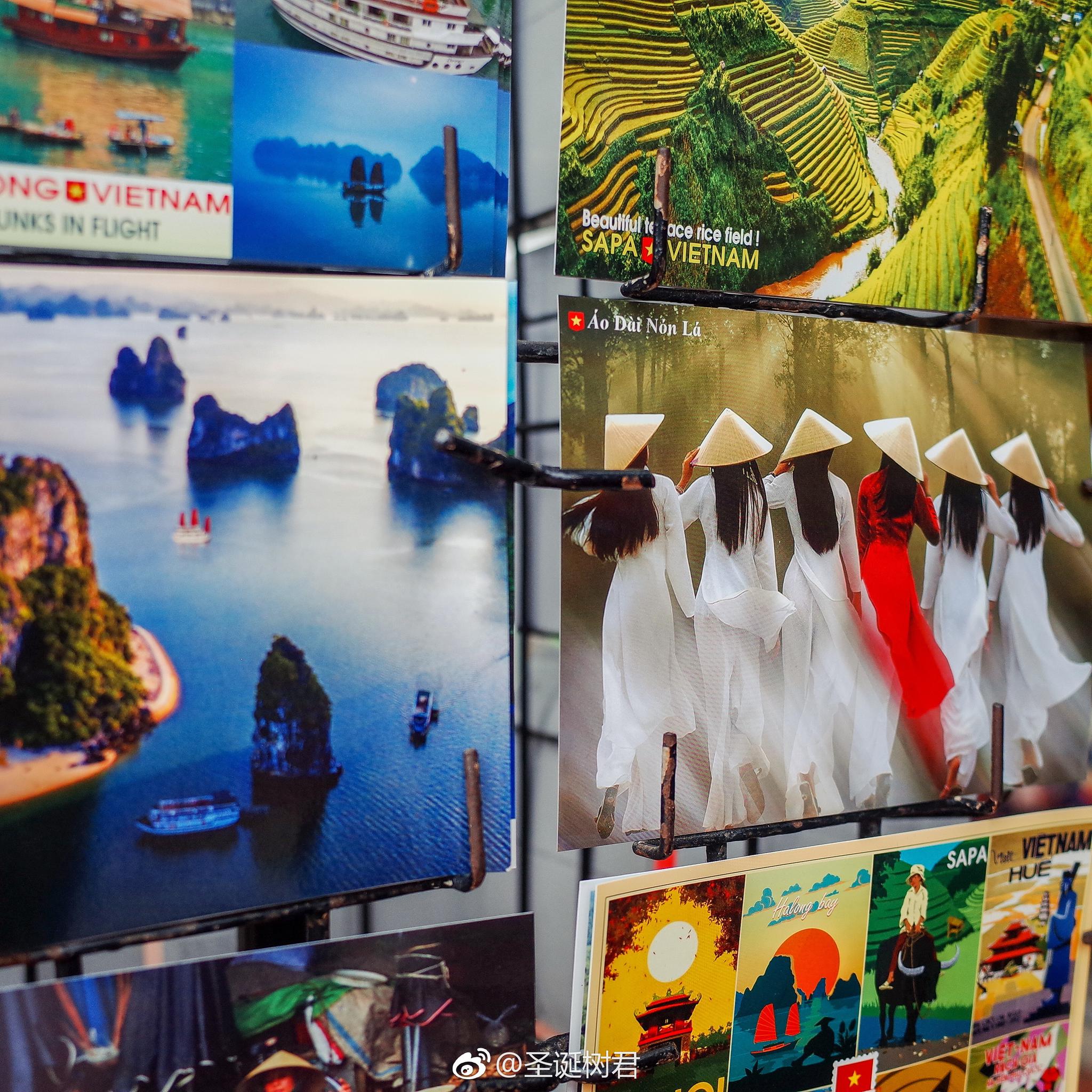 全国同城凤凰楼信息免费茶楼，传统与现代结合的社交场所