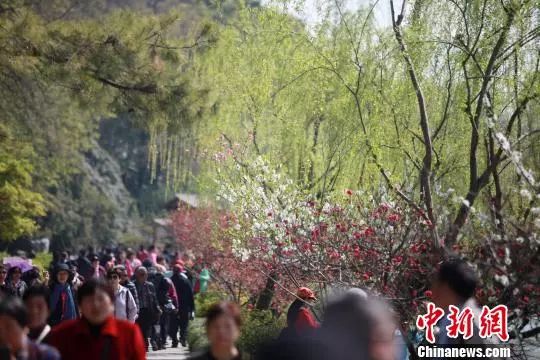  4月1日，大批游客在江苏扬州瘦西湖踏青游玩，亲近自然。　孟德龙 摄