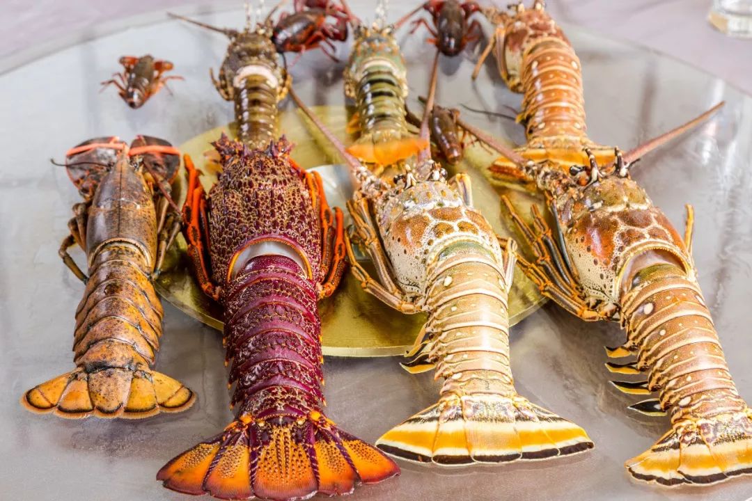 这家龙虾店老板疯了!只要酒量过人,就送椰子鞋!还给你免单!|盱眙|龙虾