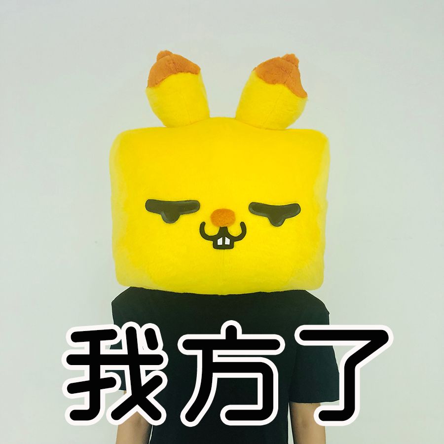 花了5000块买了一双香奈儿拖鞋我妈问我是不是9块9包邮