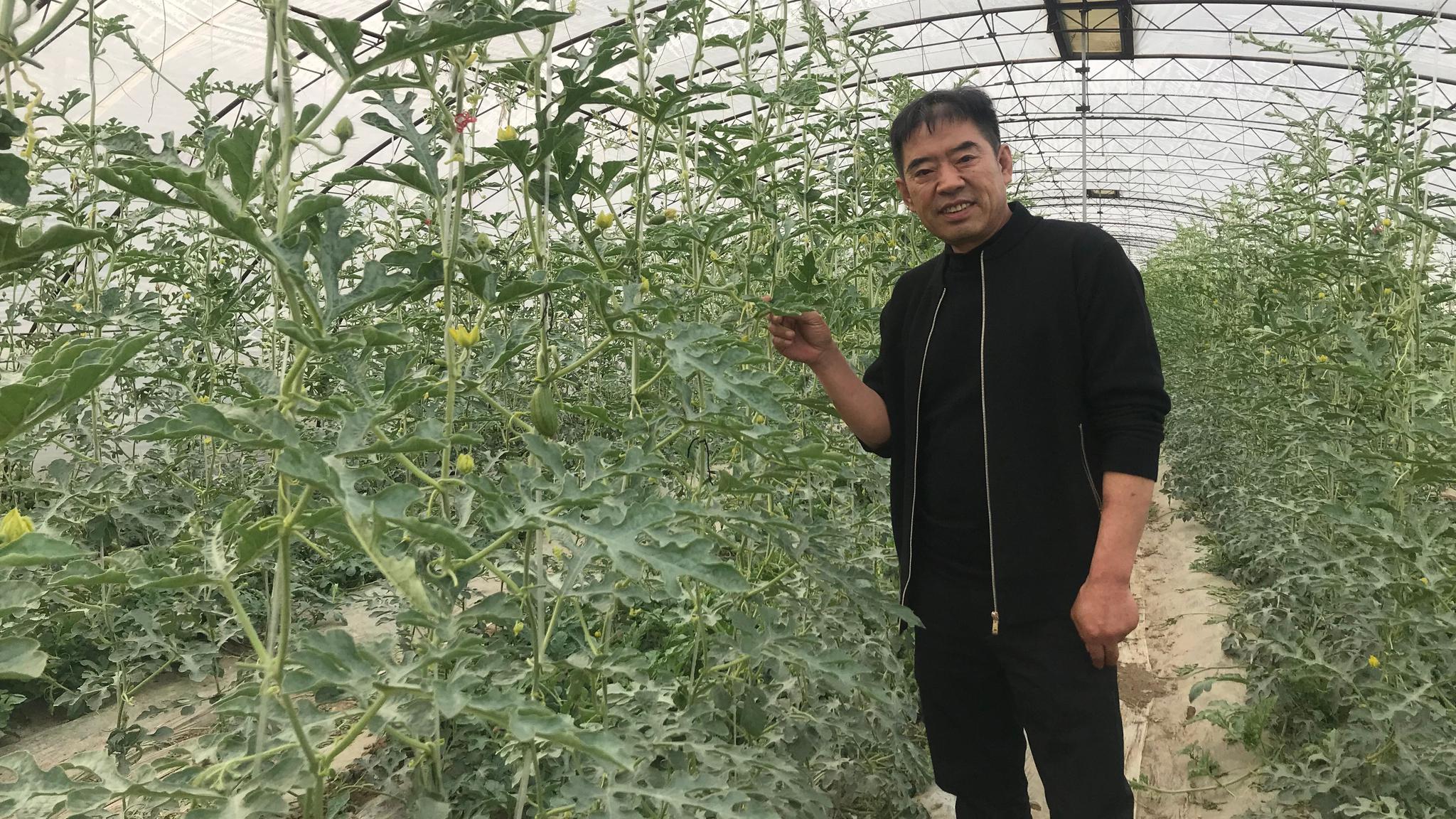 新京报记者 李傲 摄有了宋绍堂的回归,老宋瓜园也越做越大,2000年开始