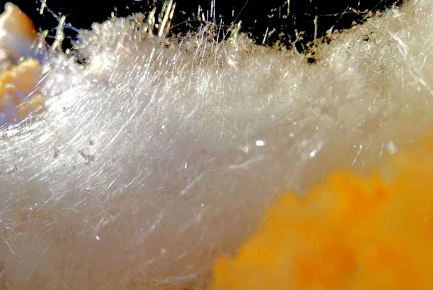 刚才,中国贵州突然流出一批照片,全世界都被折服了……|贵州|晶体