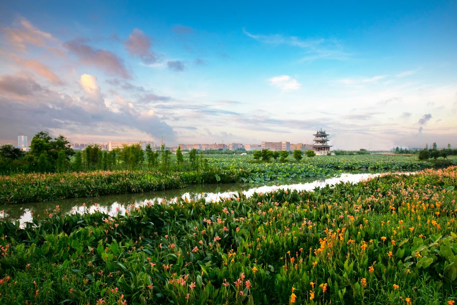 《东莞日报·麻涌导刊》第8期出街|东莞日报·麻涌导刊|水乡|新港