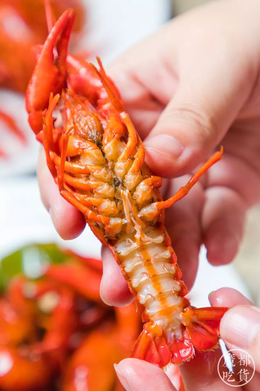 腹部干净如玉,腮部洁白胜雪迫不及待地剥开一只小龙虾你会惊讶地发现