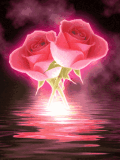 五一|问候|玫瑰花开_新浪新闻