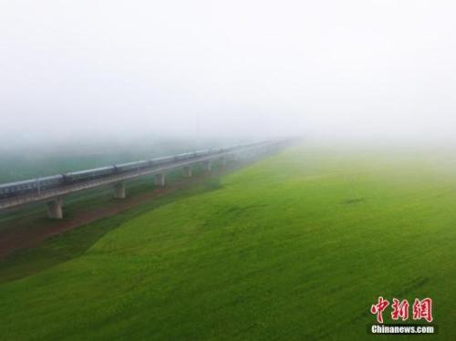  资料图：动车组穿越雨雾中的油菜花海宛若穿越时空。 杨艳敏 摄