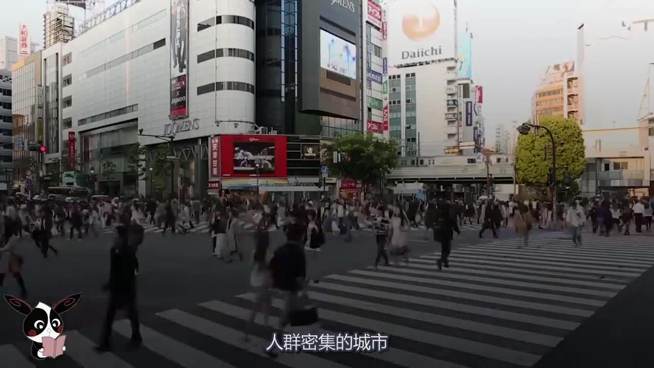 人类利用量子纠缠，进行“瞬间转移”，你将会经历什么？