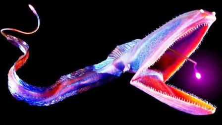 科普一下：地球上发现的5种可怕深海生物