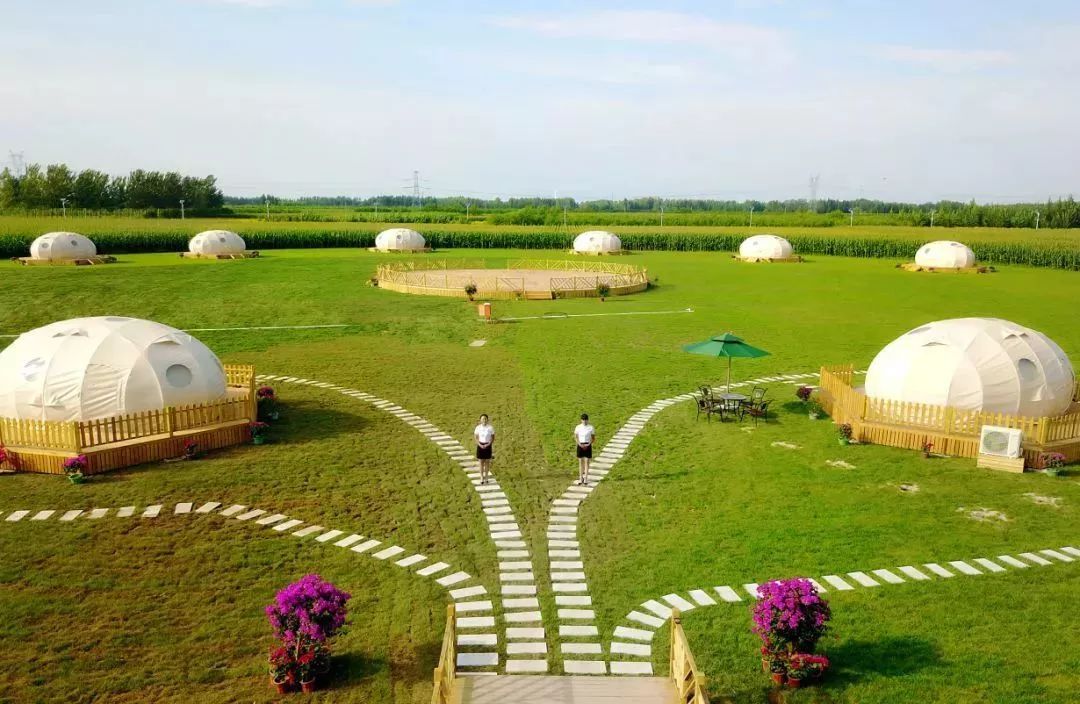 河间丰尔庄园"京南牡丹生态园共种植有9大色系,10大花型,230多个品种