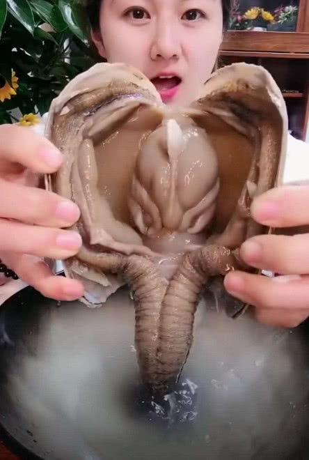 吃播直播吃象拔蚌,烫后直接"上嘴",网友:还没见过吃这么爽的