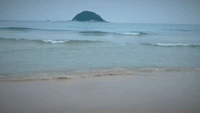 关注丨西涌,久违了,我们来了!