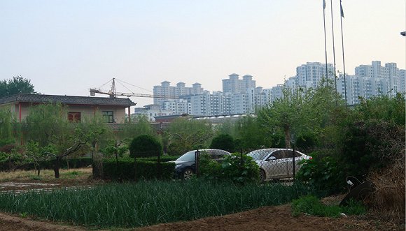 如今,邯郸洪源房地产公司内少人有走动。摄影:黎文婕
