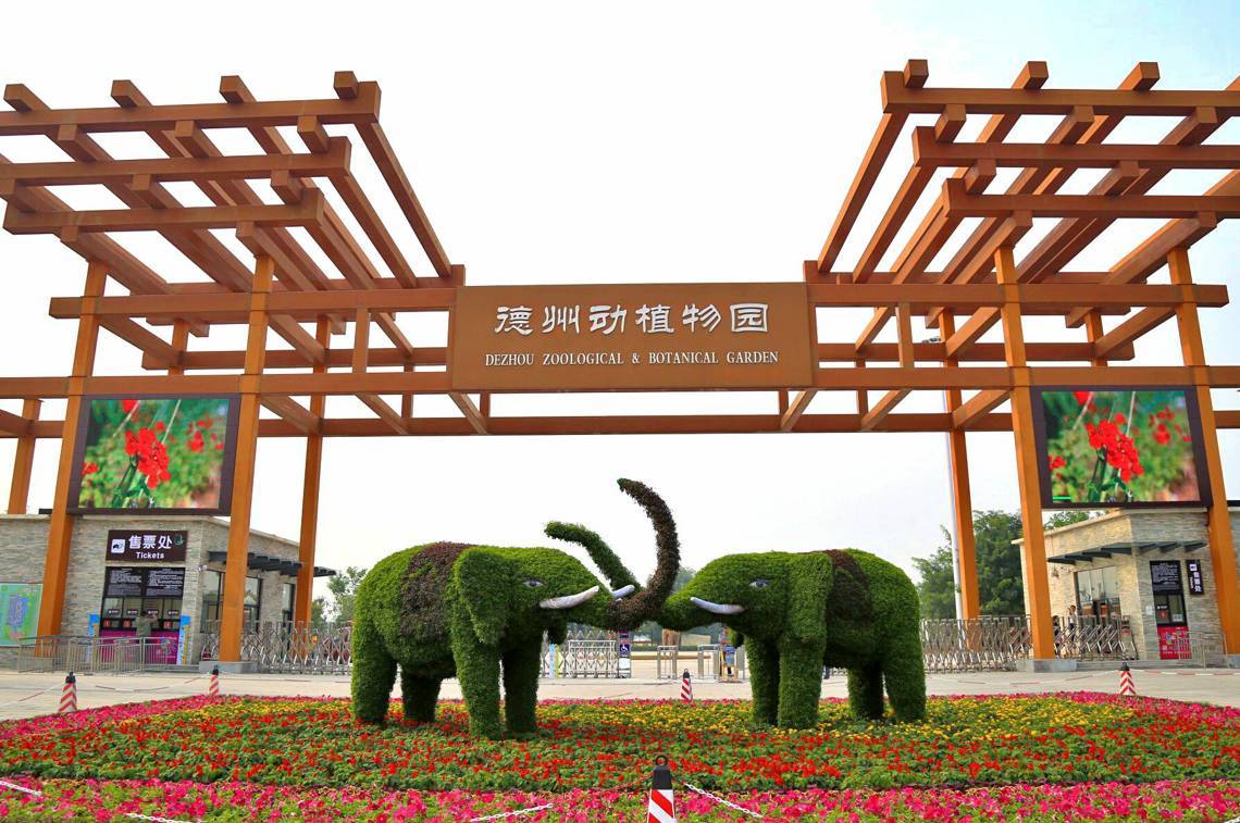 德州市动植物园五一后仍保持20元优惠票价