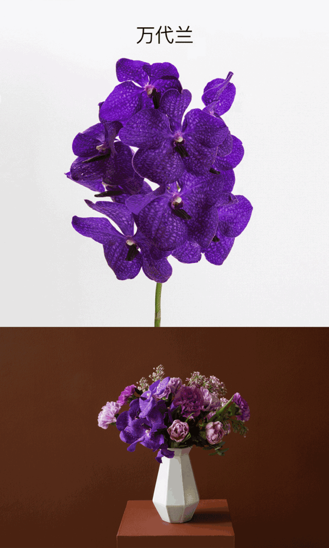 母亲节|花盒|康乃馨_新浪新闻