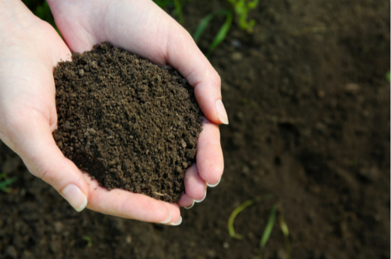 长三角一体化安吉践行修复性司法理念发出全国首例土壤生态修复令