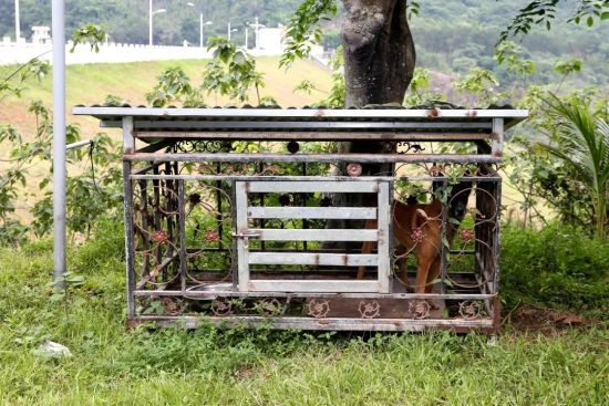 陵水董亚强,董国锋犯罪团伙被捕现场.省公安厅供图