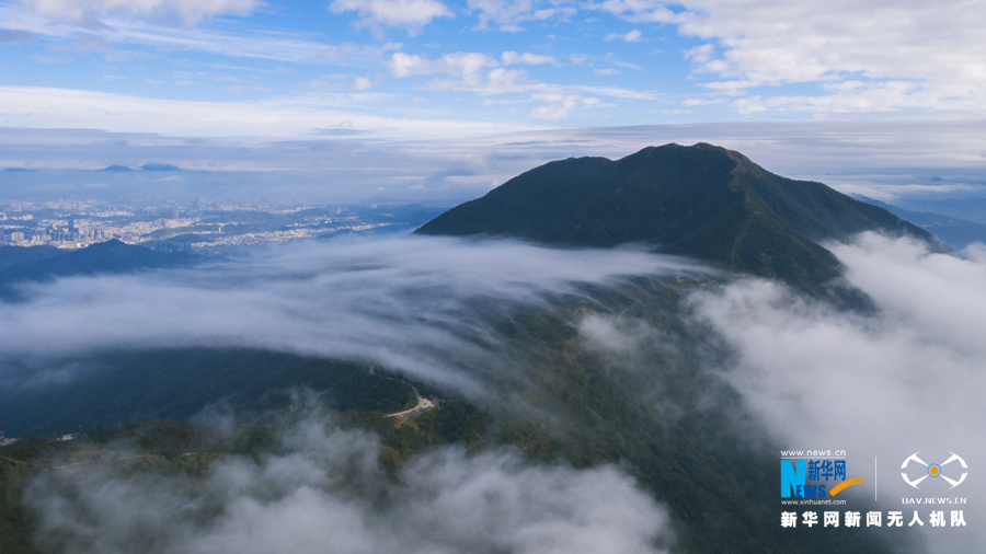(视频)俯瞰深圳梧桐山顶 云海千姿百态