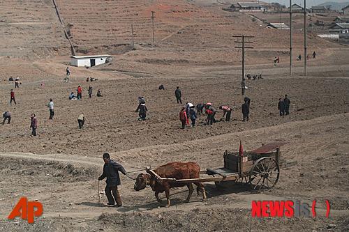 朝鲜当民民众在农地里劳作。
