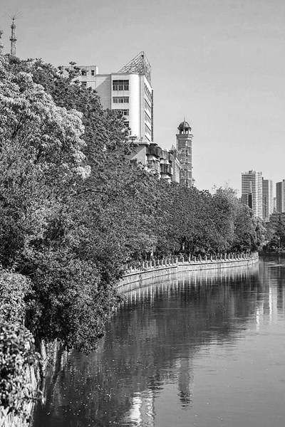 国家植物博物馆为何落户昆明茨坝