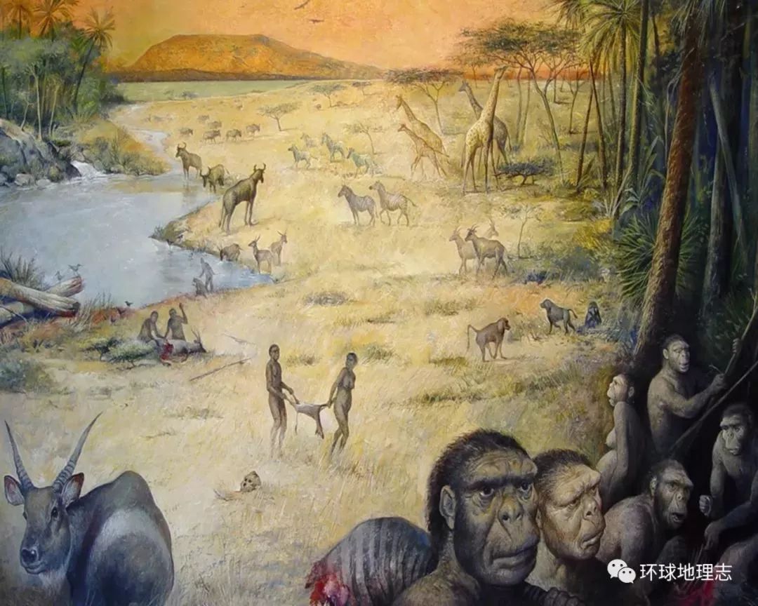 ▼▼▼▼▼◤非洲肯尼亚化石点▼肯尼亚图根原人▼▼◤非洲乍得化石点