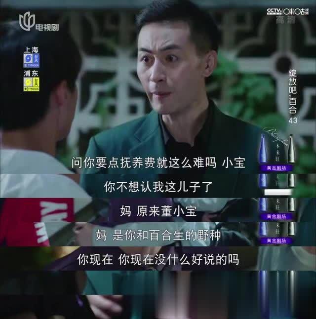 绽放吧百合董小宝生身秘密曝光百合遭遇车祸重伤昏迷