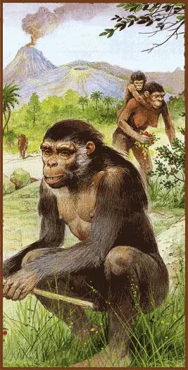 ▼肯尼亚图根原人▼▼◤非洲乍得化石点▼非洲乍得沙赫人700万年前一