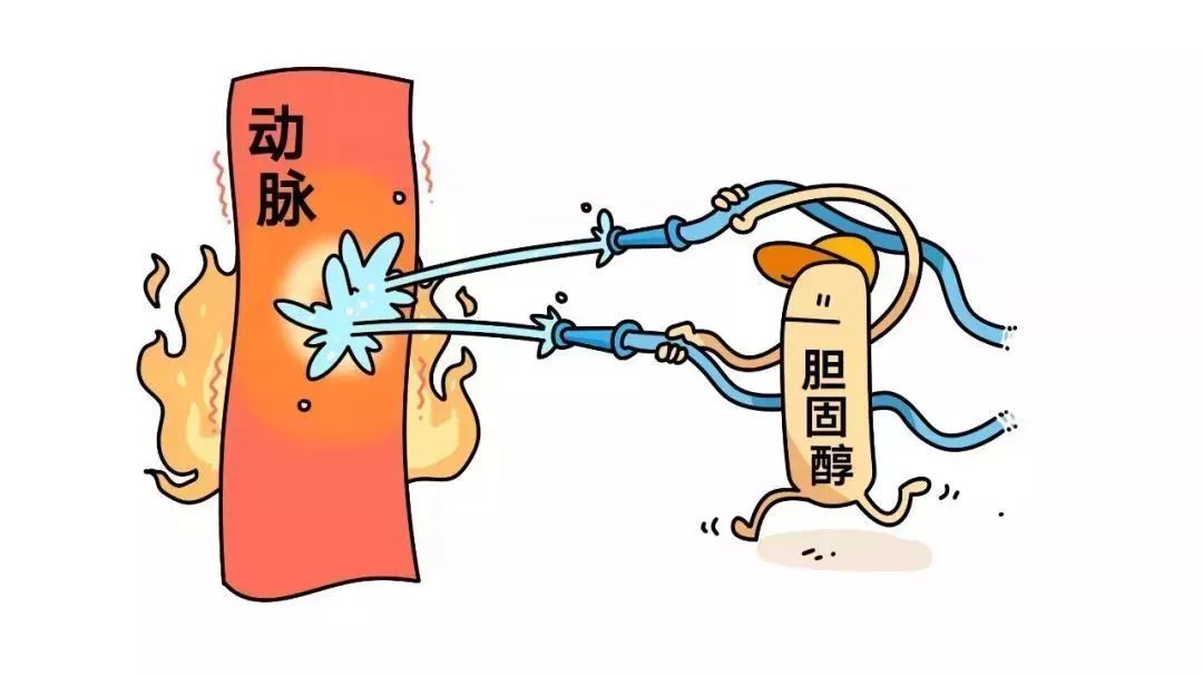 妖魔化胆固醇是人类史上最蠢决定国外这一纪录片炸锅了