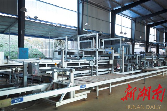 [长沙] 浏阳出台"浏花十条"坚定发展信心,吹响花炮