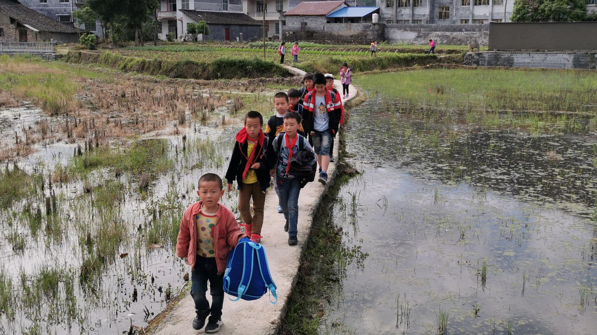 留在湘西大山的孩子们 上学为什么都光着脚不穿鞋?