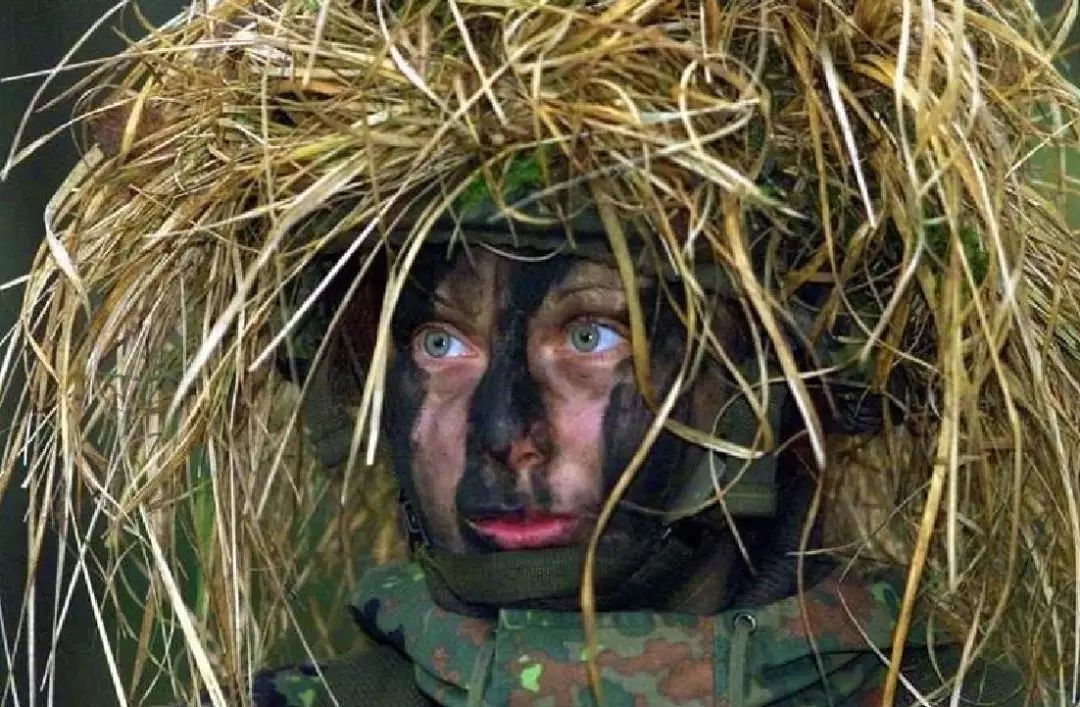 军事"隐身术"| 你能找到"隐身"的兵哥哥和他们的武器吗?