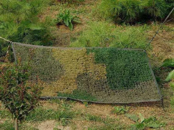 军事"隐身术"| 你能找到"隐身"的兵哥哥和他们的武器吗?|隐身术|充气|