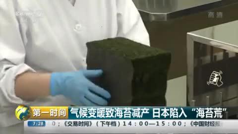 气候变暖致海苔减产  日本陷入“海苔荒”