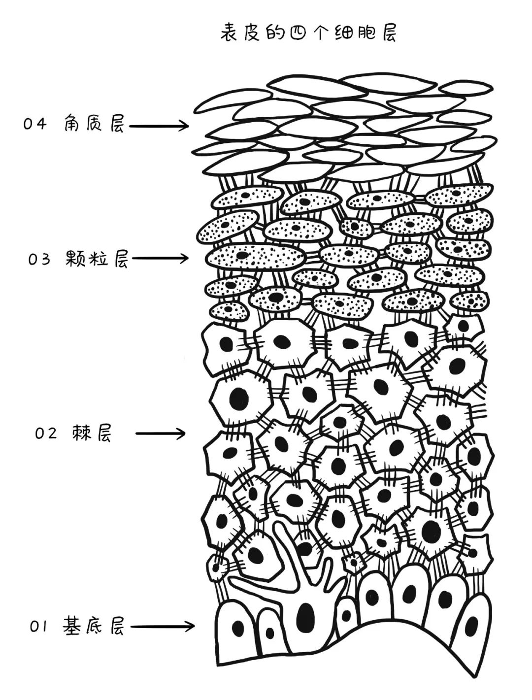 心理障碍|肉毒杆菌|透明质酸_新浪新闻