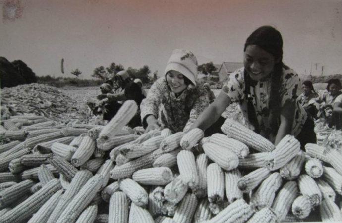 老照片:70年代的农村,欣欣向荣的人民公社生活