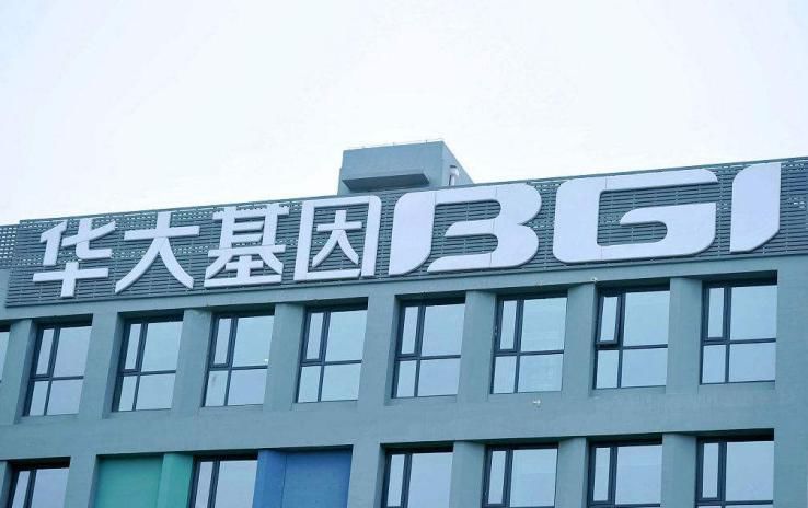 数据造假、暴跌800亿,裁员 明星公司华大基因被揭